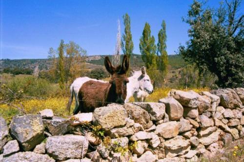 Tortoles Casa Rural Menta Y Canela المظهر الخارجي الصورة